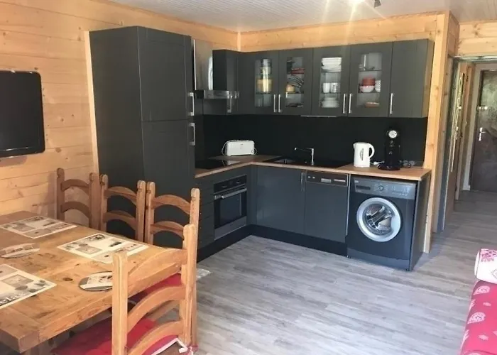 Beau Studio Renove Avec Balcon, Tout Confort, Animaux Acceptes, Parking Privatif - Fr-1-445-41